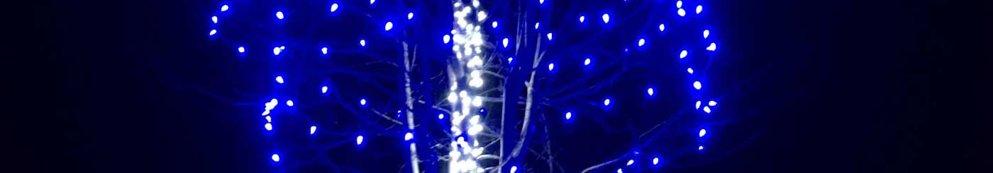 purple holiday lights on tree